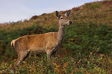 玩家猜想《漫威蜘蛛侠2》毒液身份：最有可能是他