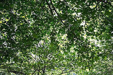 经典日恐名作《死印》新DLC《无归游乐园》8月1日上线